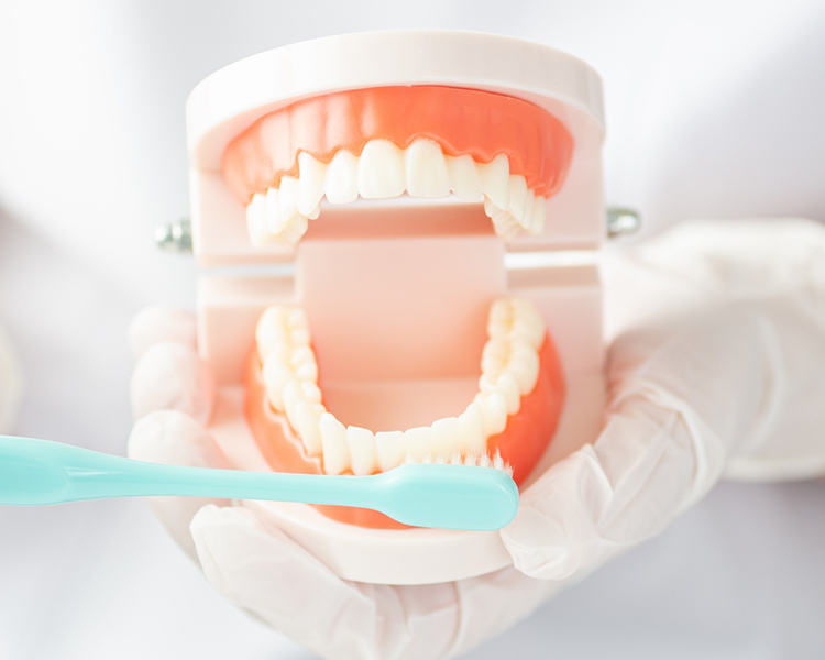 3か月に1度の歯科健診がおすすめ